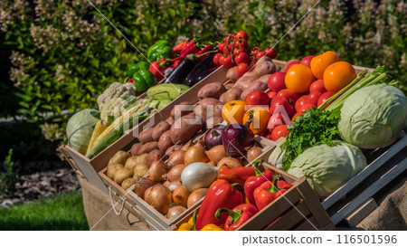 Cabbage and other seasonal vegetables on the counter of a farmers market selling local food 116501596