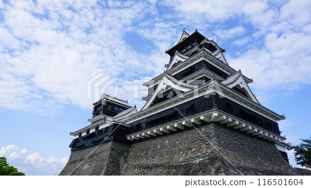 熊本縣熊本城 116501604