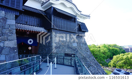 熊本縣熊本城 116501613