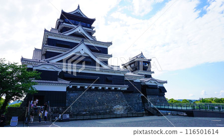 熊本縣熊本城 116501614