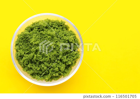 Wolffia globosa or swamp algae, water meal Wolffia globosa or swamp algae, water meal 116501705