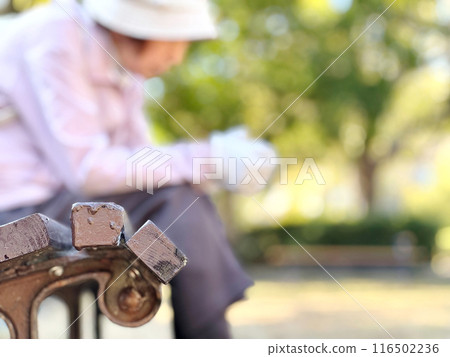 Blurred image of an elderly woman sitting on a park bench with space to the right Blurred image of an elderly woman sitting on a park bench with space to the right 116502236