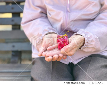 一位老婦人的手拿著一件小禮物_前視圖 116502239