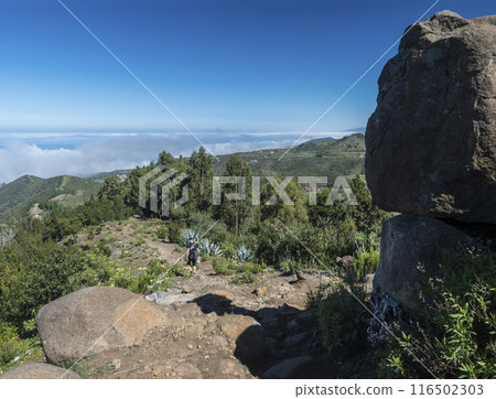View of lush green vegetation, hills and atlantic ocean with lonely man hiker at hiking trail around Cruz de Gala peak, Teno mountain range, Tenerife, Canary Islands, Spain, Europe. 116502303