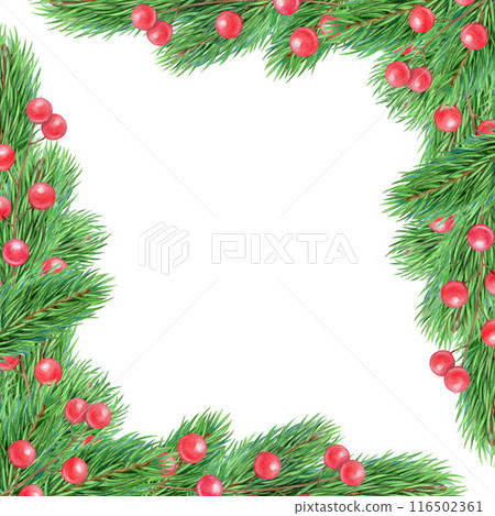 Fir tree branch decor frame painted illustration. Fir twigs with green needles, red berries frame on white background. Winter holiday evergreen vintage style decoration, spruce or cedar element 116502361