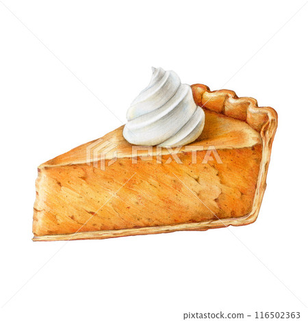 Pumpkin Pie slice painted illustration. Piece of pumpkin cake on white background. Slice of pumpkin pie with whipped cream drawing on white background. Vintage style hand drawn illustration Pumpkin Pie slice painted illustration. Piece of pumpkin cake on white background. Slice of pumpkin pie with whipped cream drawing on white background. Vintage style hand drawn illustration 116502363