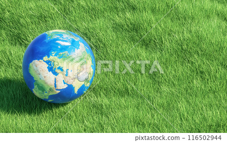 Earth globe on green grass. Eco concept. 3d rendering 116502944