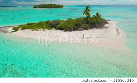 Young female on wild island waving hands ask to save her. Aerial view small tropical island beach, turquoise coral reef. Woman need rescue. Word HELP written on sand beach. Aerial view drone flight Young female on wild island waving hands ask to save her. Aerial view small tropical island beach, turquoise coral reef. Woman need rescue. Word HELP written on sand beach. Aerial view drone flight 116503310