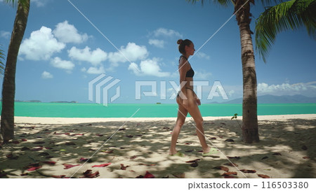 A woman in a swimsuit walks along a white sand beach in Thailand. The turquoise water and palm trees create a tropical paradise. The photo captures a moment of relaxation and tranquility. A woman in a swimsuit walks along a white sand beach in Thailand. The turquoise water and palm trees create a tropical paradise. The photo captures a moment of relaxation and tranquility. 116503380