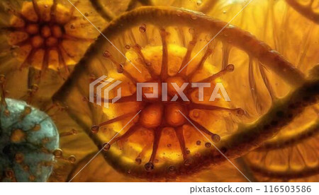 病毒影像新型免疫細胞結構 病毒影像新型免疫細胞結構 116503586