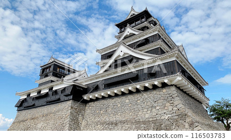 Kumamoto Castle in Kumamoto Prefecture 116503783
