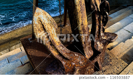 Rusty old anchor 116503887