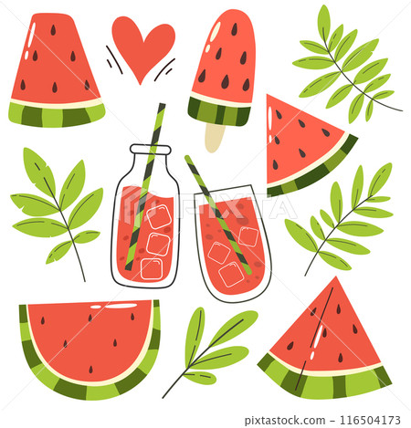 Collection of watermelon slices and juice with leaves. Vector bright isolates in flat cartoon style. 116504173