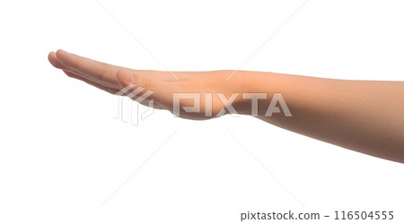 Hand gesture measurement. Kid showing sign with palm, finger isolated on white background Hand gesture measurement. Kid showing sign with palm, finger isolated on white background 116504555