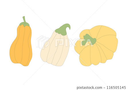 Pumpkins set. Autumn ripe vegetables. Vector outline illustration isolated on white background. 116505145