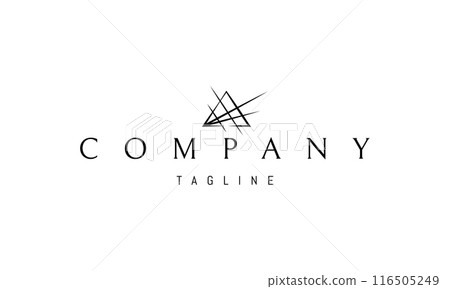 Vector logo with an abstract image of a triangular modern house. 116505249