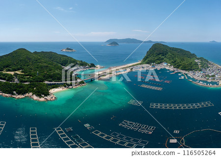 柏島(高知縣大月町) 柏島(高知縣大月町) 116505264
