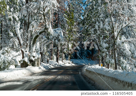 On the road to mariposa 116505405