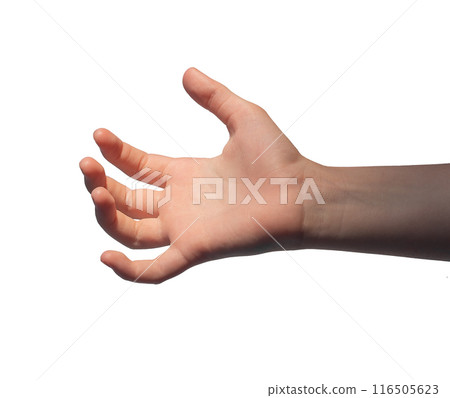 Hand palm, kids gesture, child grasping, catching, grabbing, holding something invisible isolated on Hand palm, kids gesture, child grasping, catching, grabbing, holding something invisible isolated on 116505623