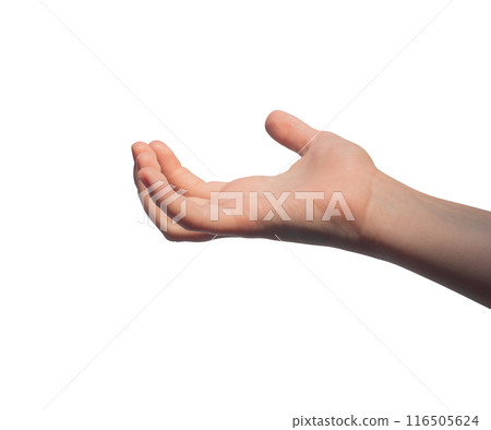 Hand palm, kids gesture, taking, holding something invisible isolated on white background Hand palm, kids gesture, taking, holding something invisible isolated on white background 116505624