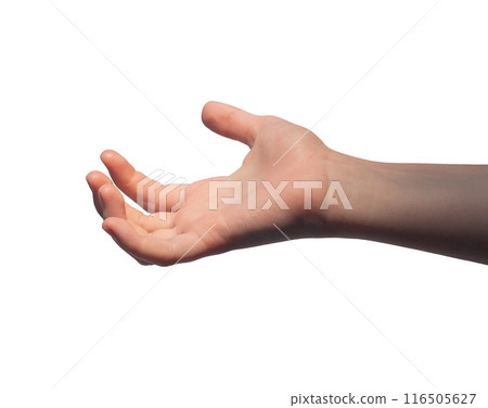 Hand palm, kids gesture, taking, grabbing, holding something invisible isolated on white background 116505627