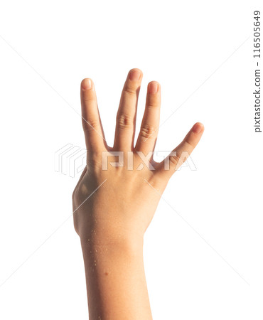Four, hand gesture, kids sign. isolated on white background. Four, hand gesture, kids sign. isolated on white background. 116505649