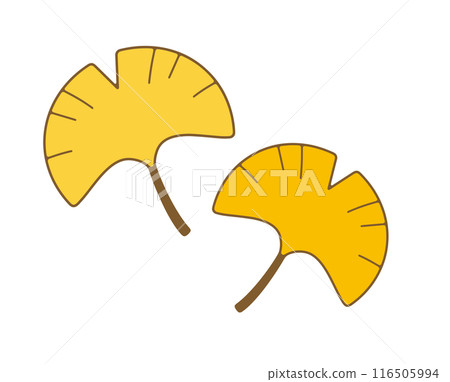 一組可愛的圓形銀杏葉插圖。銀杏有細細的輪廓。 116505994