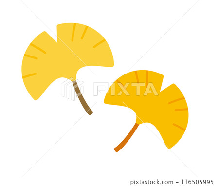 一組可愛的圓形銀杏葉插圖。 116505995