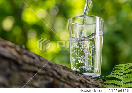 water pouring into glass on log with fern leaf water pouring into glass on log with fern leaf 116506316