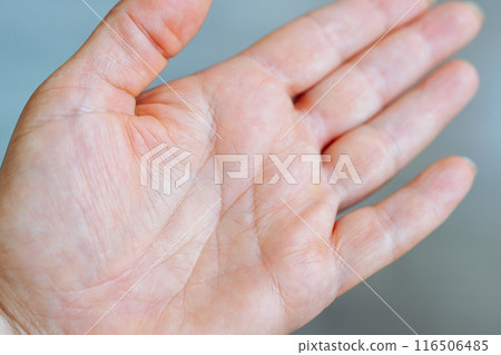 female hand palm with life lines 116506485