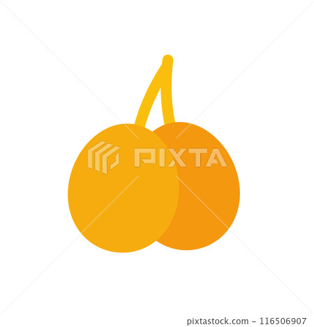 Ginkgo illustration 116506907