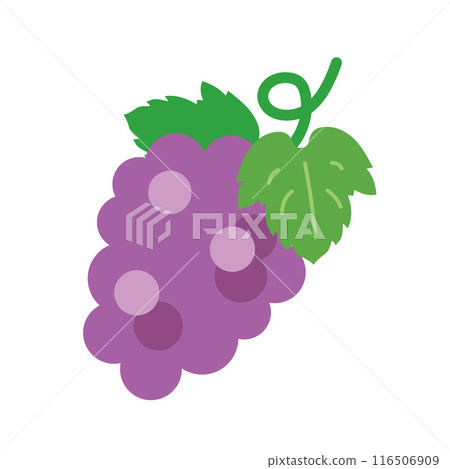 Illustration of grapes with leaves 116506909