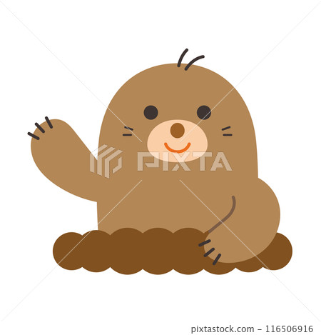 Illustration of mole 116506916