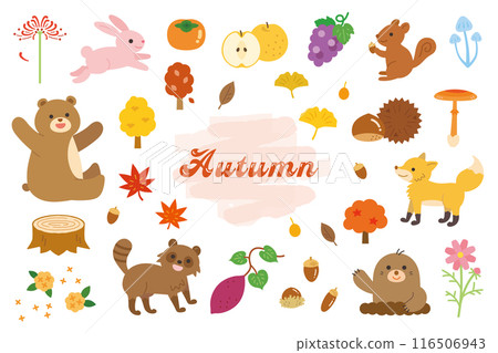 Cute autumn illustration material set Cute autumn illustration material set 116506943