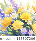 Many flowers 116507206
