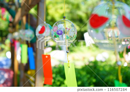 Colorful Wind Chimes (Morning Glories) 116507284