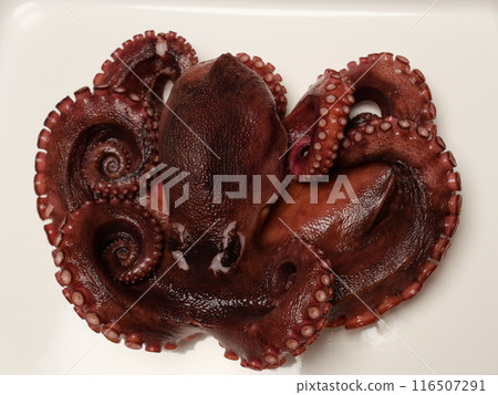Boiled common octopus Boiled common octopus 116507291