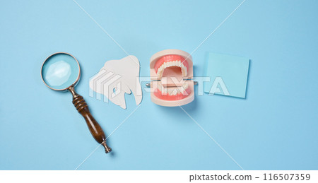 Plastic human jaw with white teeth, magnifying glass, oral cavity prevention, 116507359