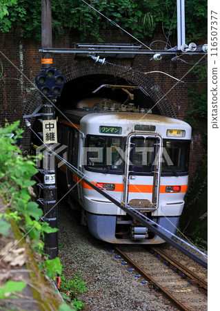 Brick tunnel and the Minobu Line 116507377
