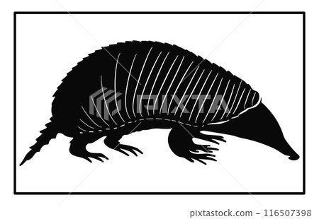 Armadillo Walking Silhouette, Black silhouette of an armadillo, vintage retro hipster armadillo logo 116507398