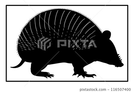 Armadillo Walking Silhouette, Black silhouette of an armadillo, vintage retro hipster armadillo logo Armadillo Walking Silhouette, Black silhouette of an armadillo, vintage retro hipster armadillo logo 116507400