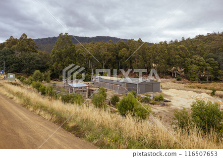 Roadside Selling in Tasmania Australia 116507653