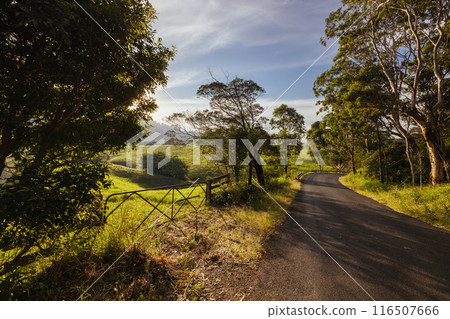 Central Tilba Landscape in Australia Central Tilba Landscape in Australia 116507666