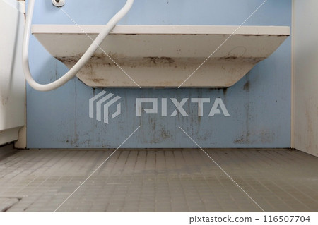 Black mold on the bathroom walls Black mold on the bathroom walls 116507704