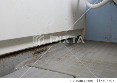 Black mold on the bathroom walls Black mold on the bathroom walls 116507707