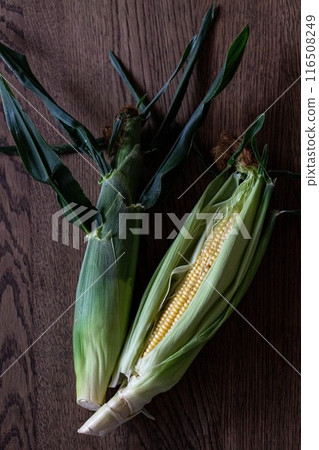 兩個玉米 116508249