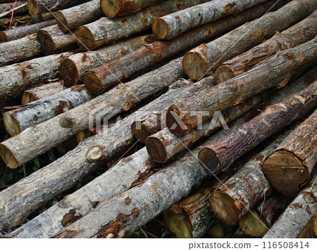 Logs are neatly piled on top of one another, forming a stack Logs are neatly piled on top of one another, forming a stack 116508414