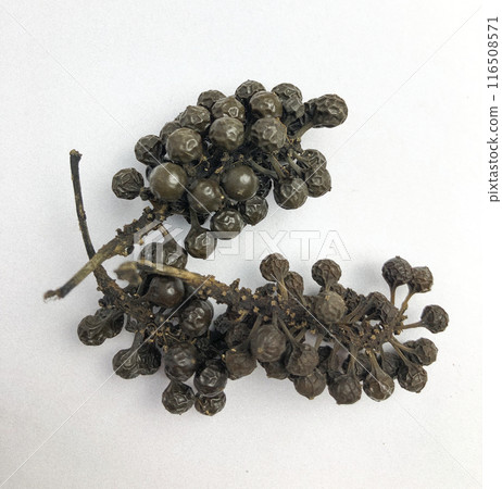 Pile of dried cubeb closeup on white background 116508571