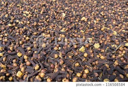 Dry cloves. Ideal for use in culinary,health, and spice related content 116508584