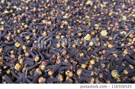Dry cloves. Ideal for use in culinary,health, and spice related content 116508585